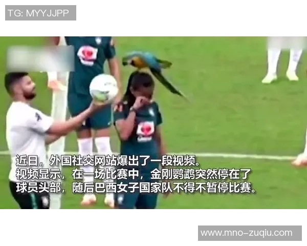 当足球意外飞出场外的搞笑瞬间合集，笑翻全场的精彩视频回顾