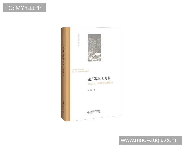 斯洛伐克足球联赛的崛起与发展探讨及其对欧洲足球的影响